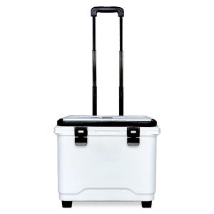 iesmidzināta izolēta kaste